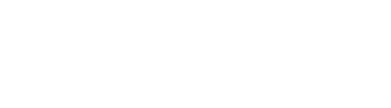 Sentinel Santé